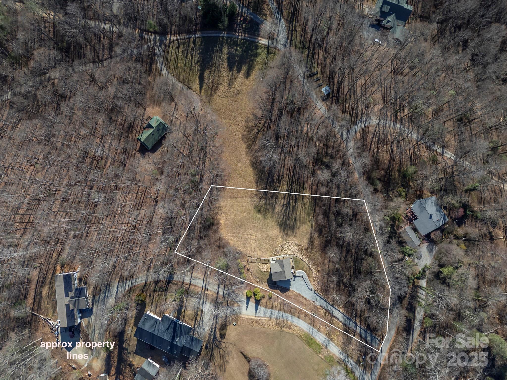 865 Frost Road Saluda, NC 28773 - Photo 41 of 48 Gallery Image 41