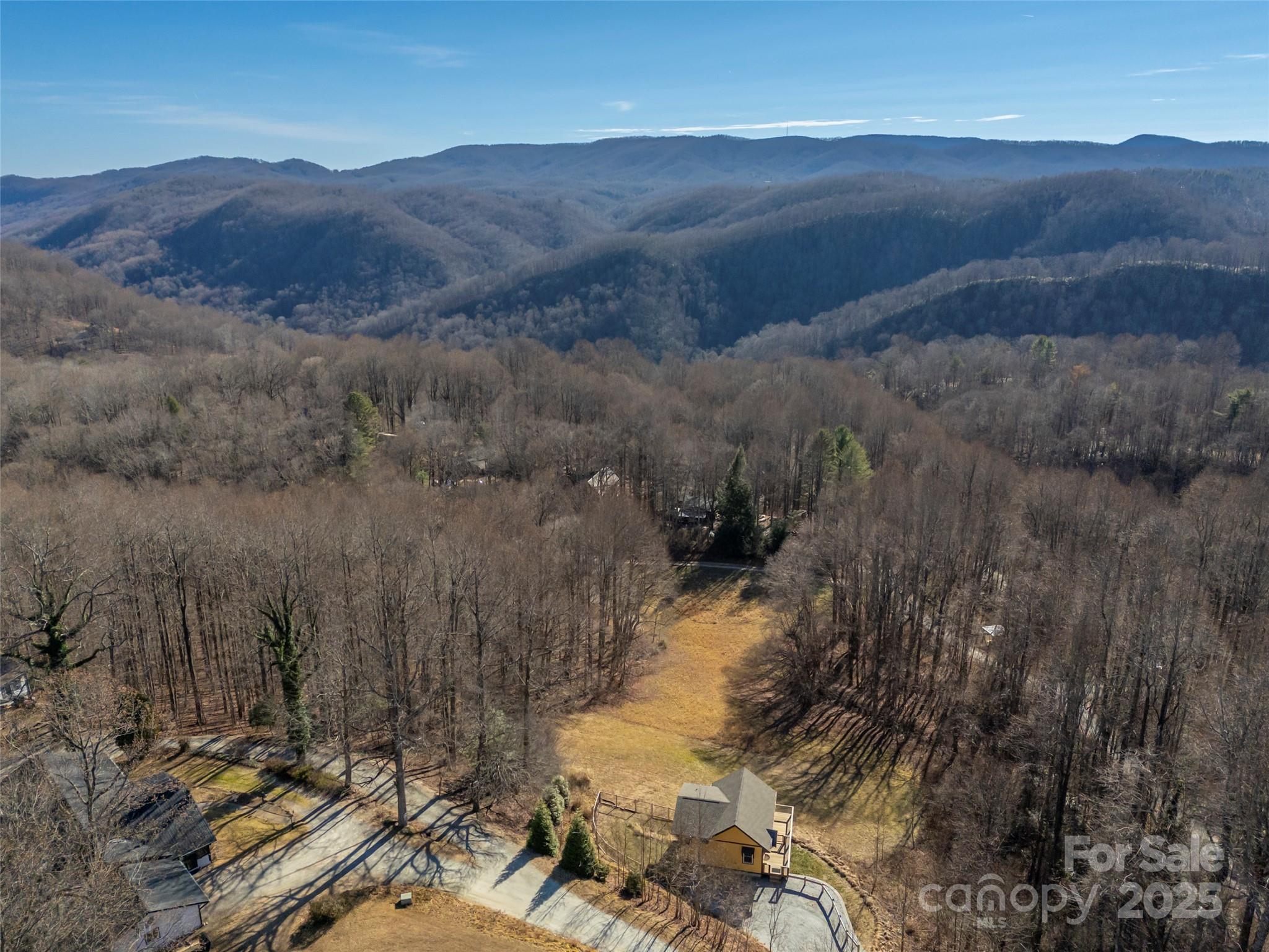 865 Frost Road Saluda, NC 28773 - Photo 43 of 48 Gallery Image 43