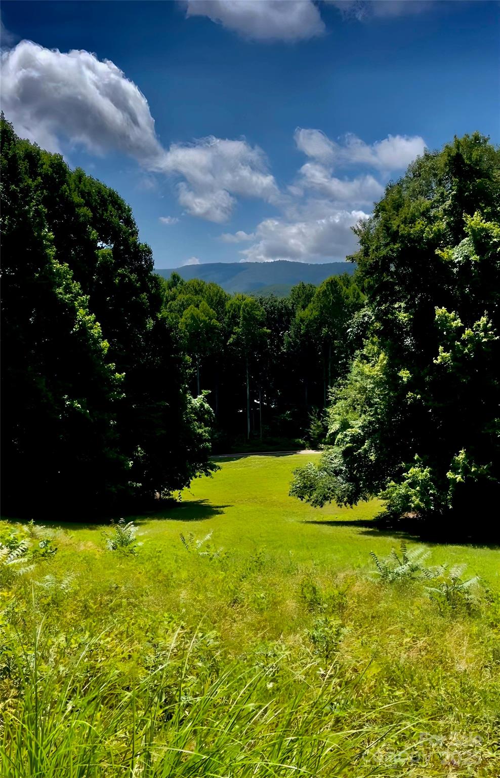 865 Frost Road Saluda, NC 28773 - Photo 47 of 48 Gallery Image 47