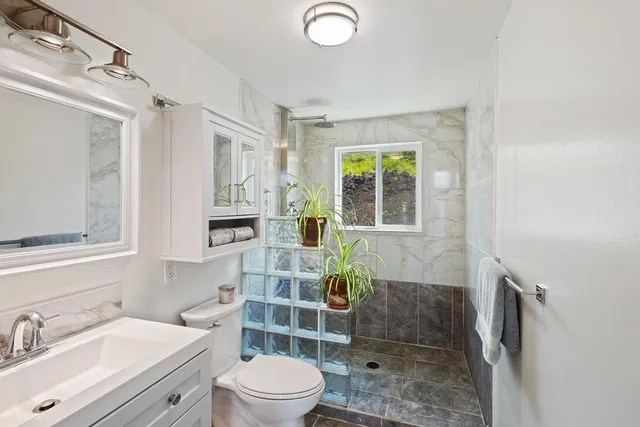 a bathroom with a sink toilet a mirror and shower