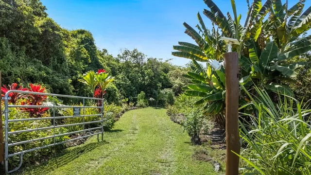 a view of outdoor space deck and garden