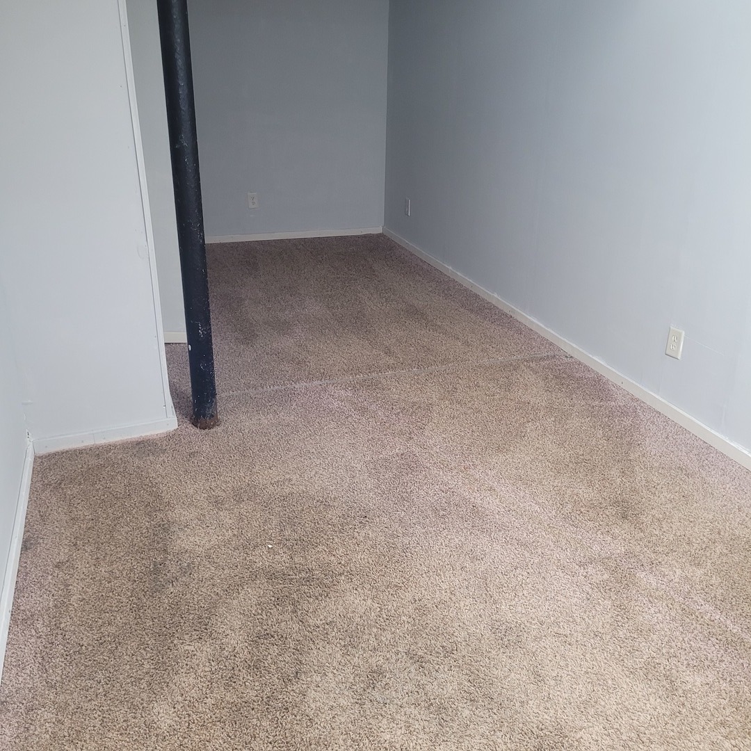 509 Lucier Street Murphysboro, IL 62966 - Photo 5 of 14