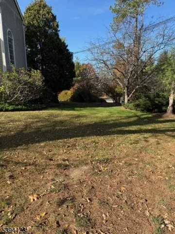 a view of a field with large trees