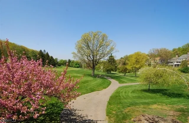 a view of a garden with trees