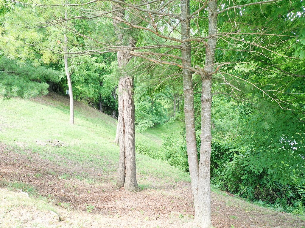 189 Patton Road North Tazewell, VA 24630 - Photo 9 of 63 Gallery Image 9
