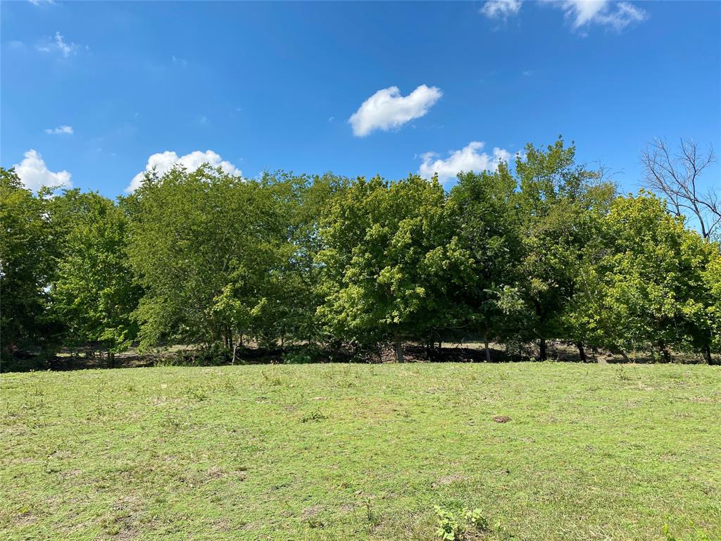 0 Fm 198 Cooper, TX 75432 - Photo 1 of 1