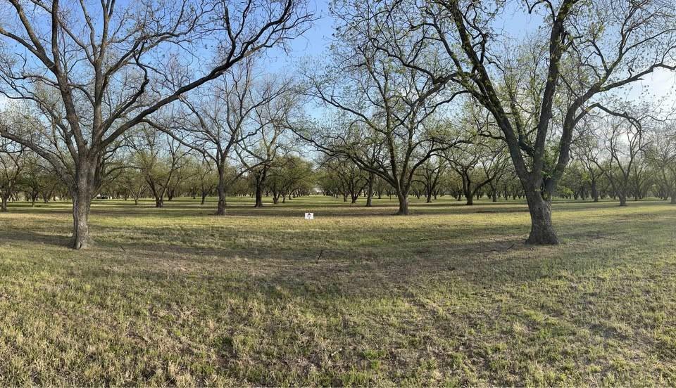 461 County Road 461 Gorman, TX 76454 - Photo 2 of 2 a view of outdoor space with trees