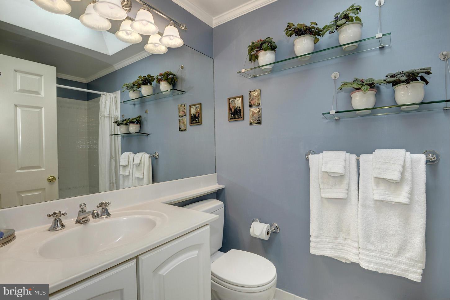 3127 Birchtree Lane Silver Spring, MD 20906 - Photo 20 of 30 Upper Level Hall Bathroom