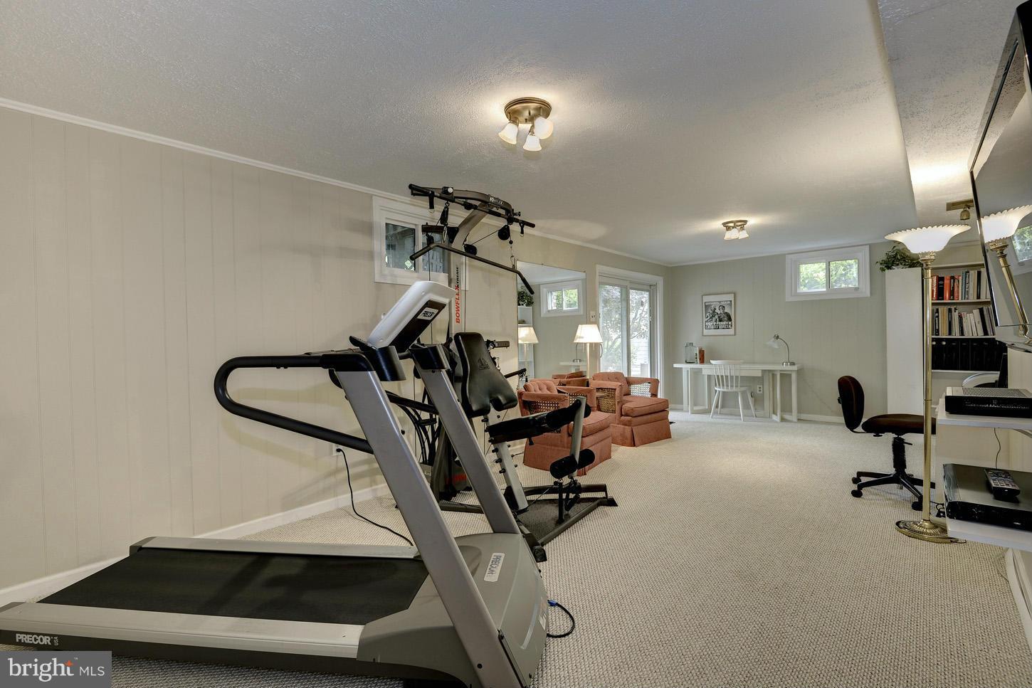 3127 Birchtree Lane Silver Spring, MD 20906 - Photo 22 of 30 Rec Room with Level Walk Out