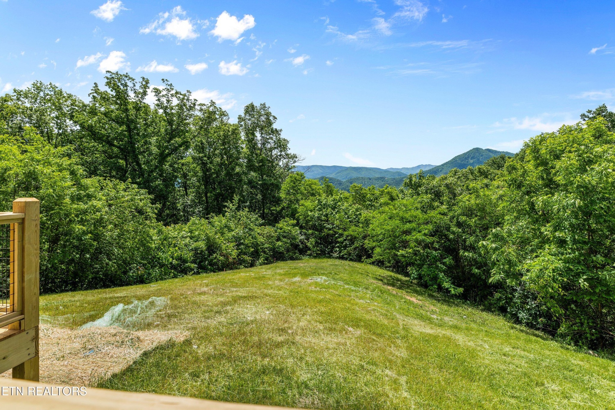 2959 Mockingbird Way Sevierville, TN 37862 - Photo 32 of 56