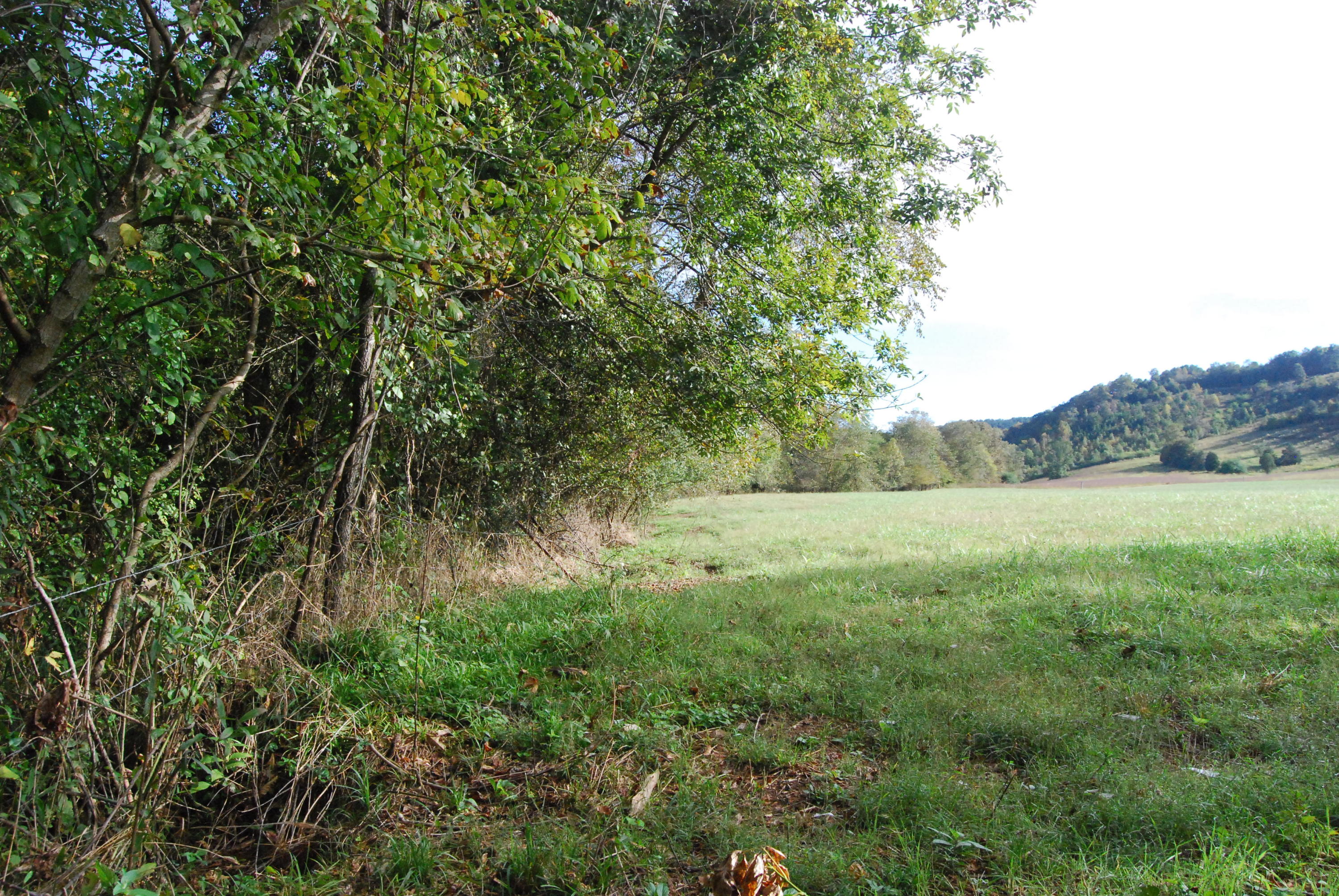 1977 McWilliams Road Dunlap, TN 37327 - Photo 21 of 83 2015-10-06 08.29.08
