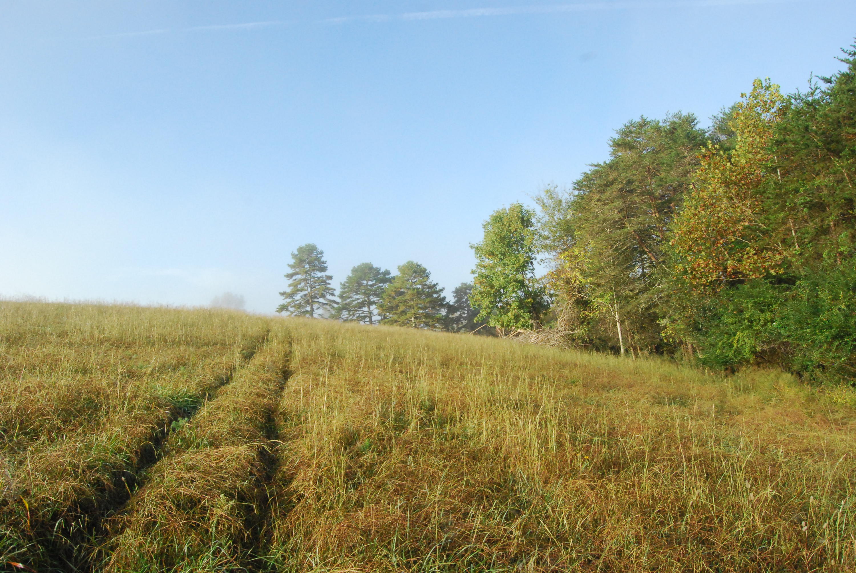 1977 McWilliams Road Dunlap, TN 37327 - Photo 43 of 83 2015-10-06 07.53.32