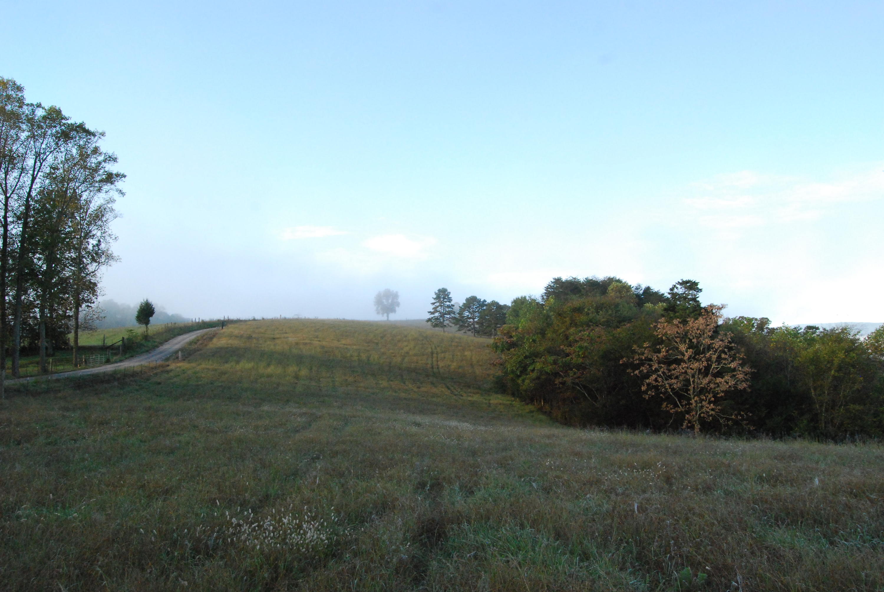 1977 McWilliams Road Dunlap, TN 37327 - Photo 47 of 83 2015-10-06 07.50.03