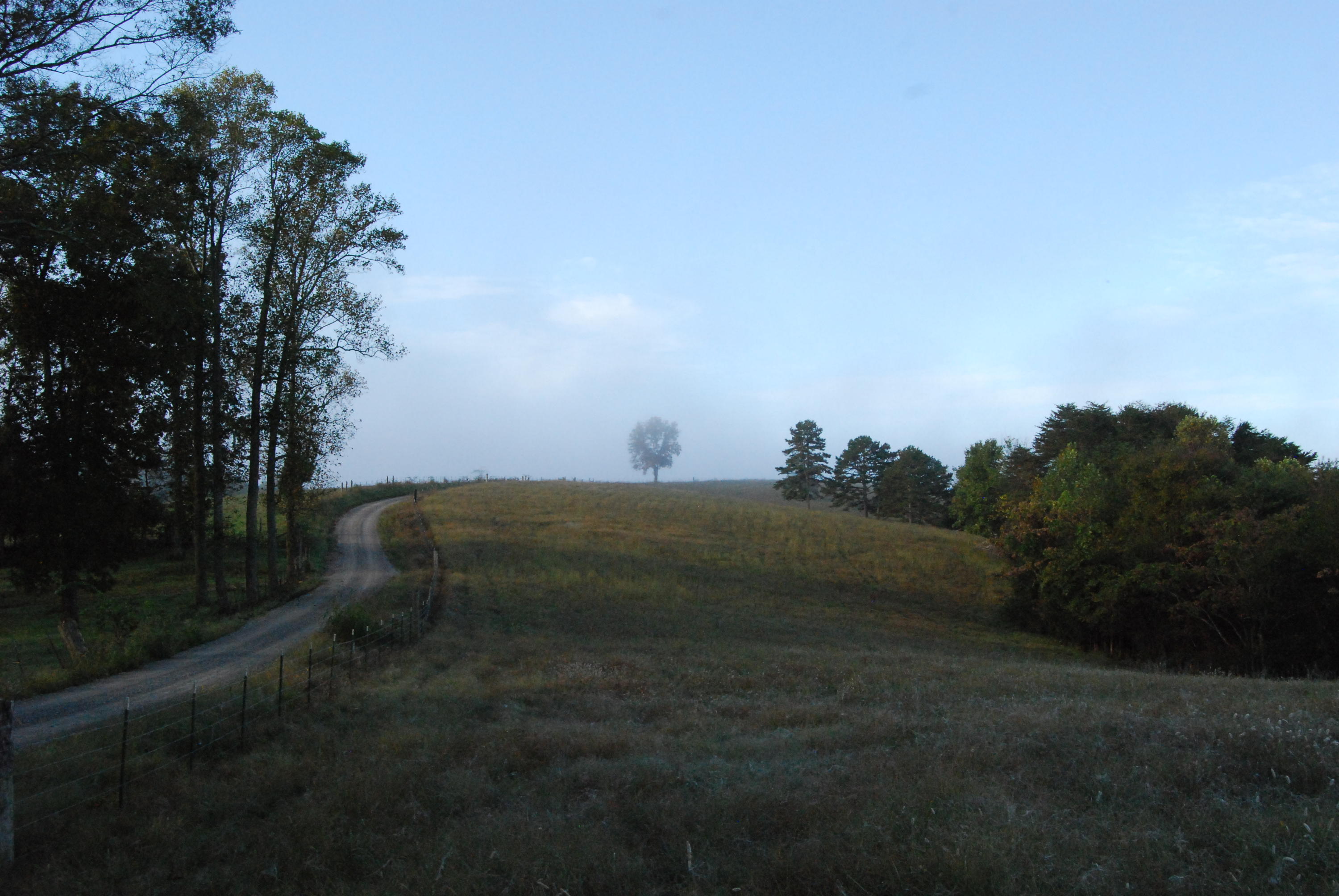1977 McWilliams Road Dunlap, TN 37327 - Photo 48 of 83 2015-10-06 07.49.41