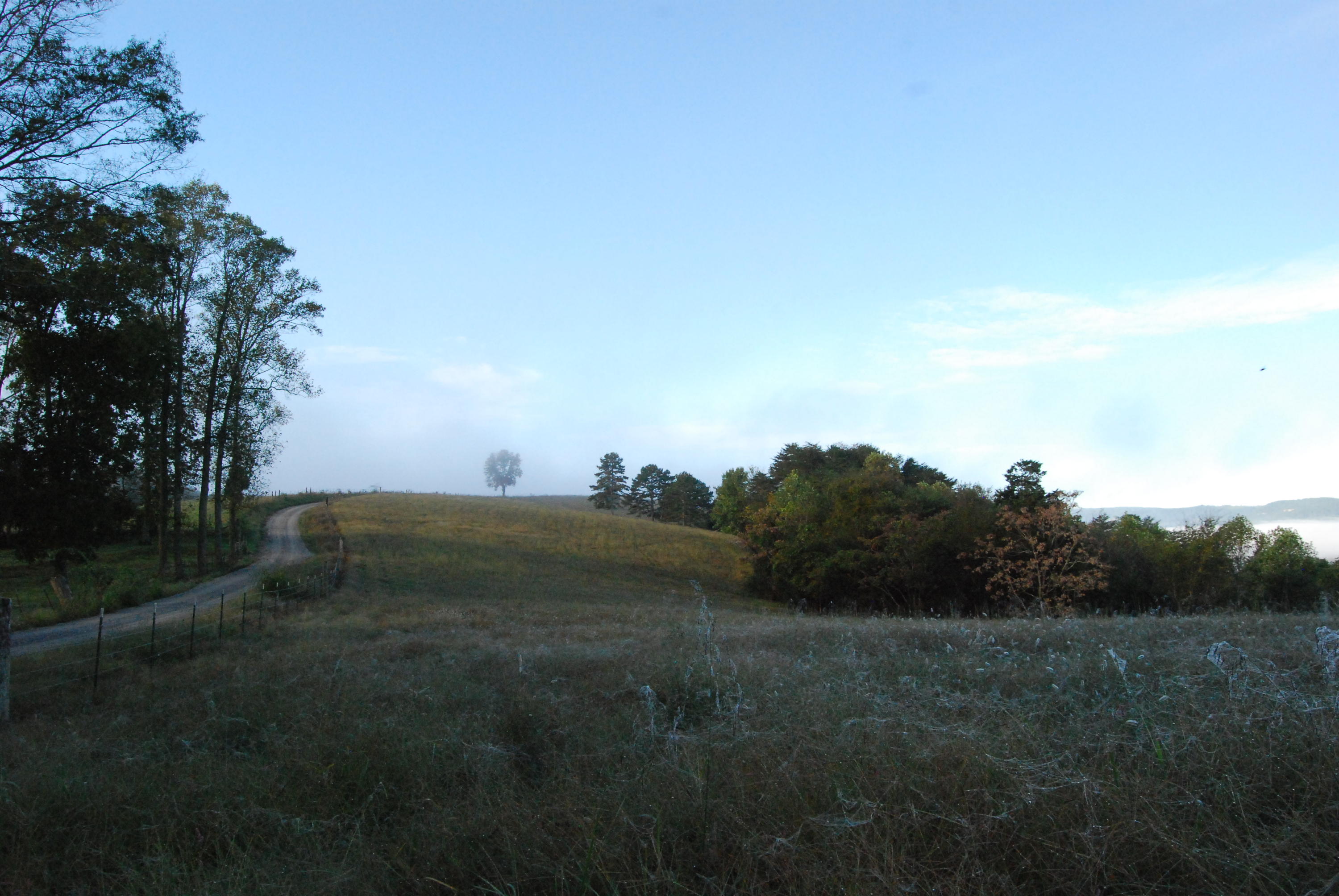1977 McWilliams Road Dunlap, TN 37327 - Photo 49 of 83 2015-10-06 07.49.29