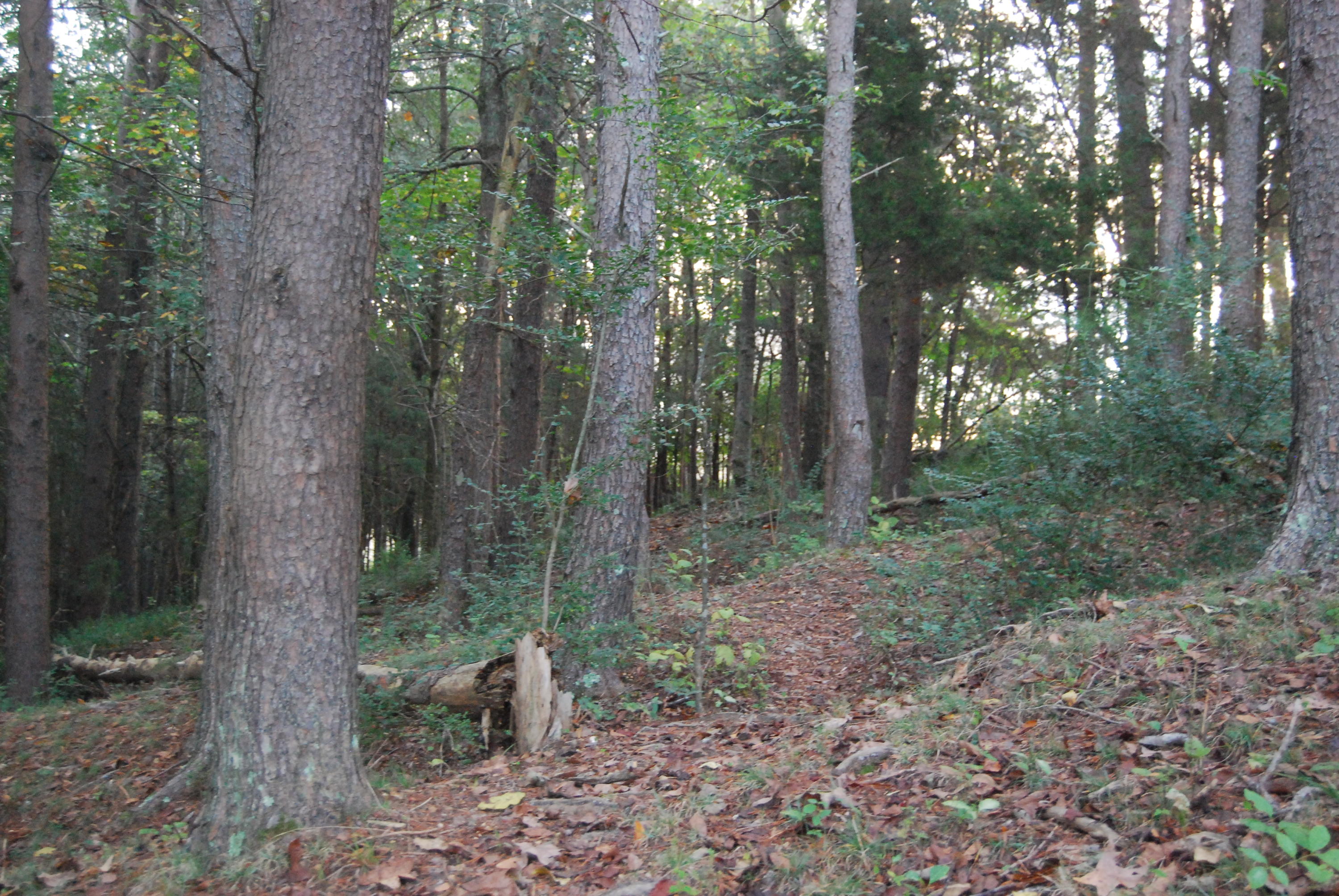 1977 McWilliams Road Dunlap, TN 37327 - Photo 74 of 83 2015-10-06 06.30.33