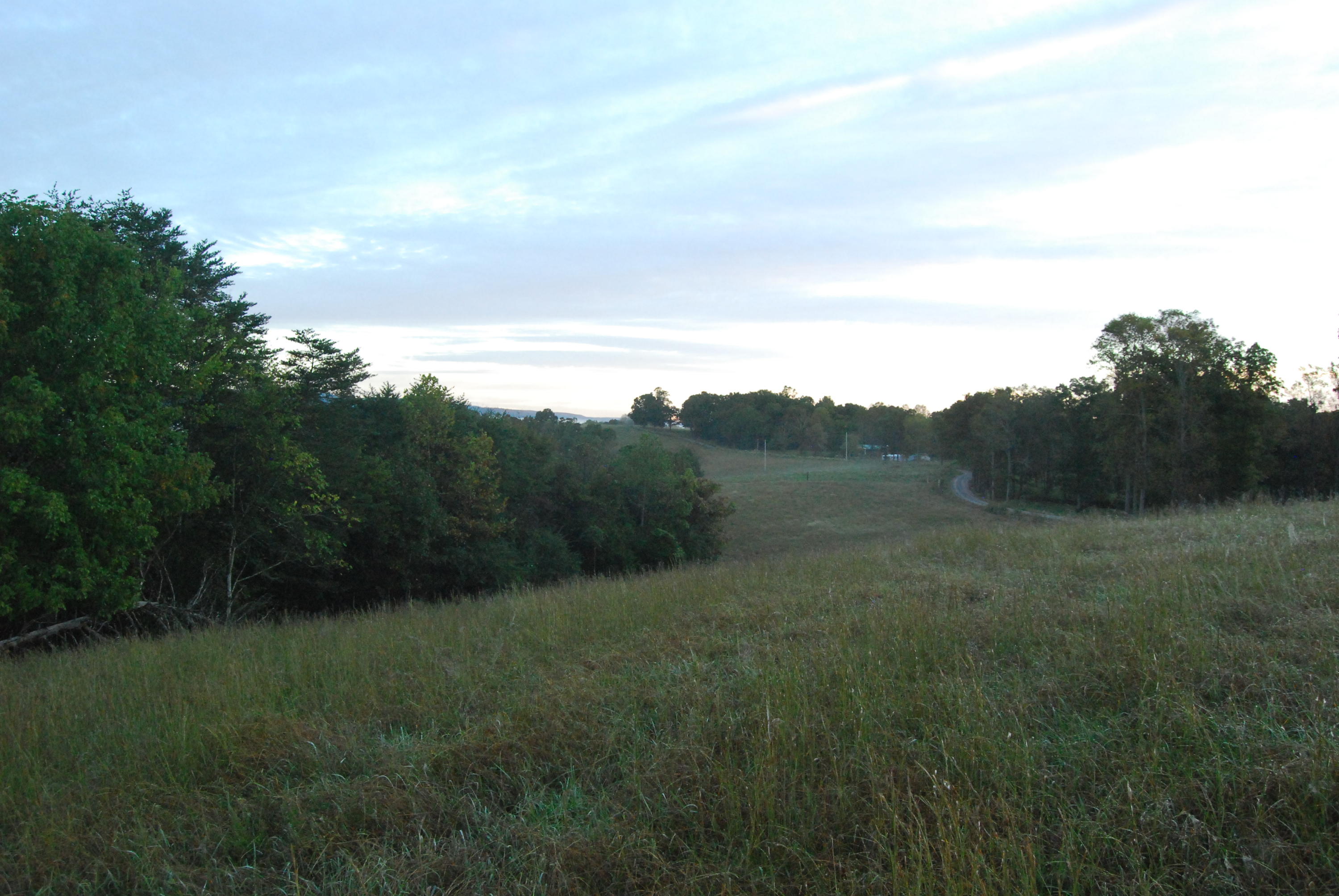 1977 McWilliams Road Dunlap, TN 37327 - Photo 77 of 83 2015-10-06 06.23.25