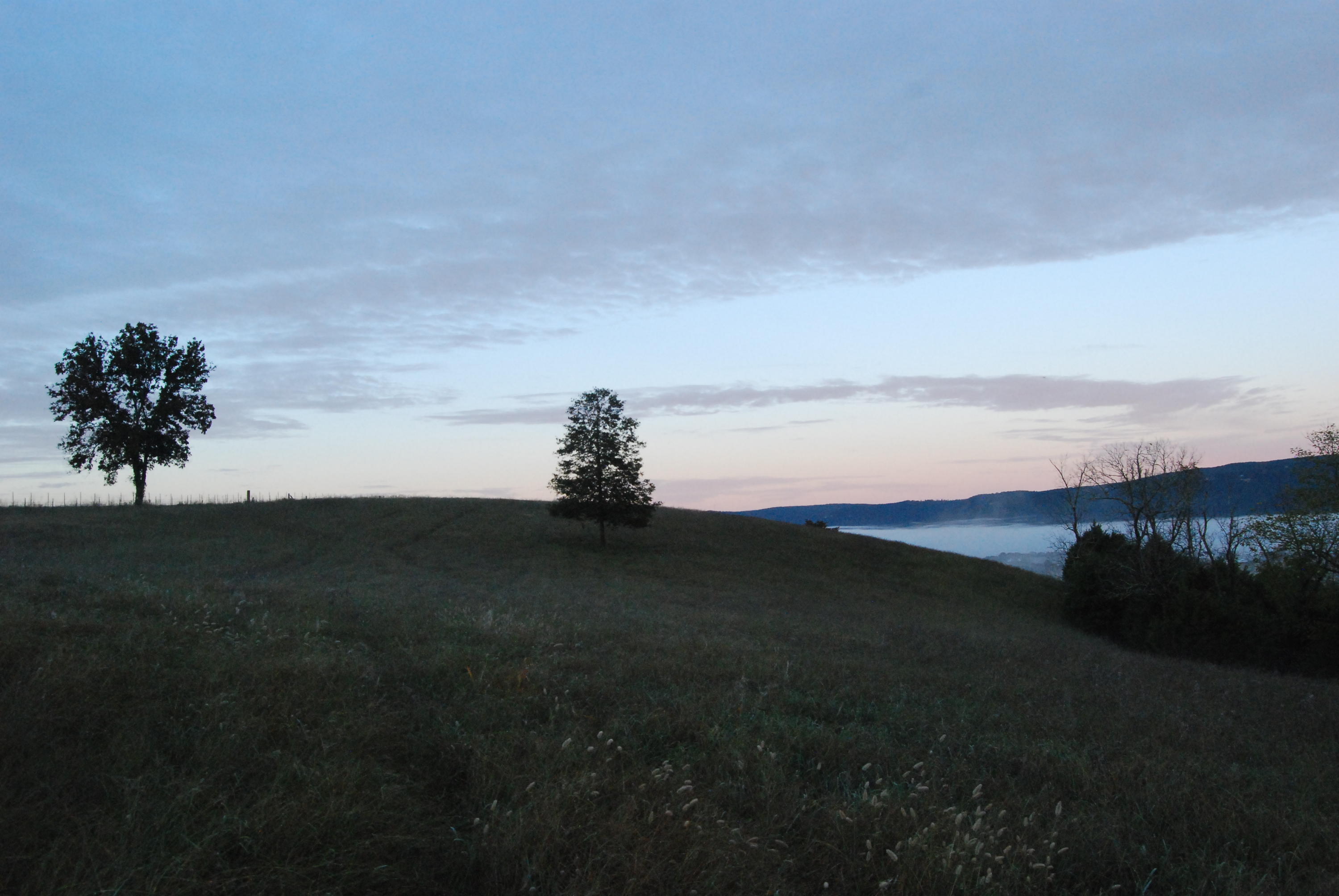 1977 McWilliams Road Dunlap, TN 37327 - Photo 79 of 83 2015-10-06 06.20.45