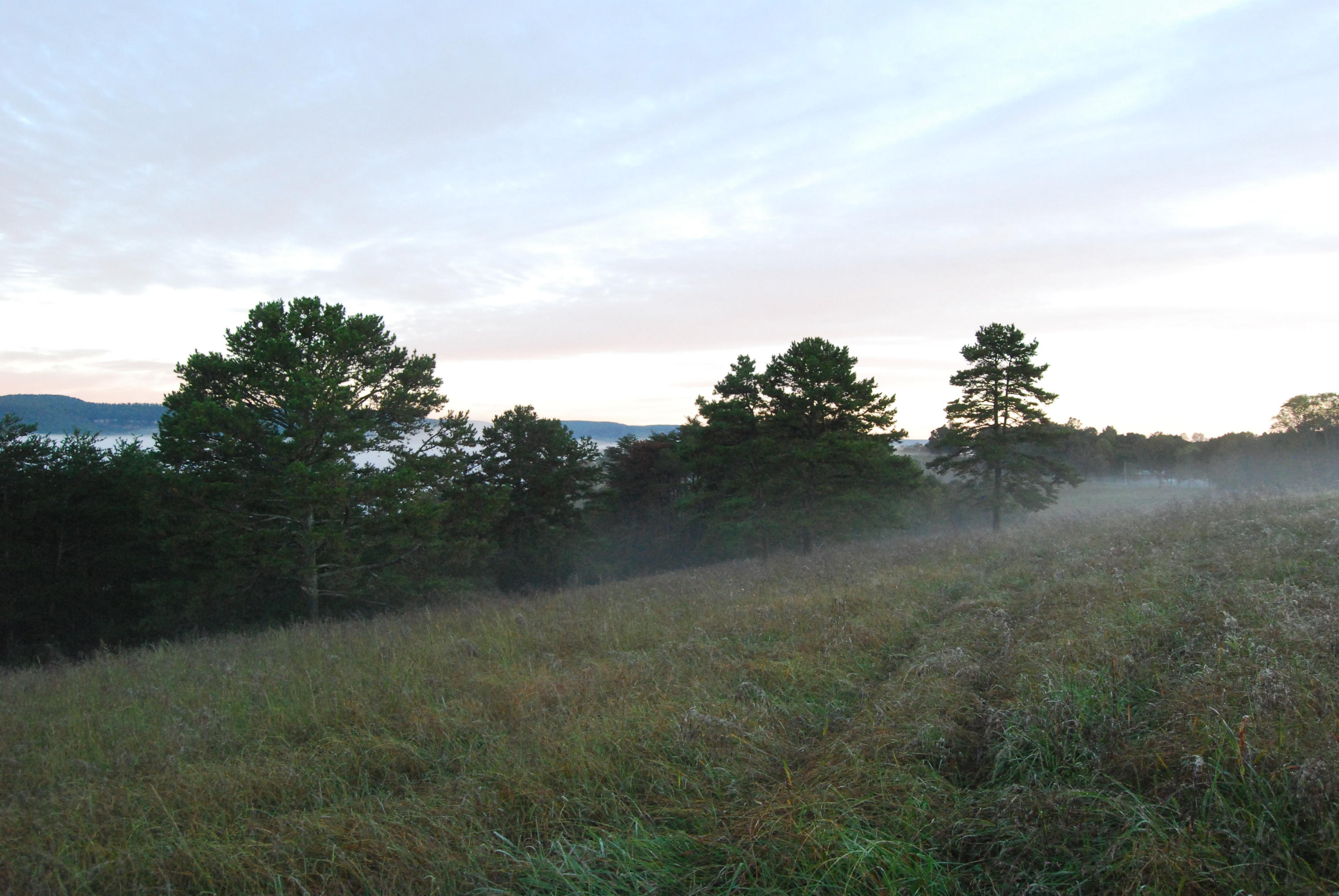 1977 McWilliams Road Dunlap, TN 37327 - Photo 80 of 83 2015-10-06 06.20.02
