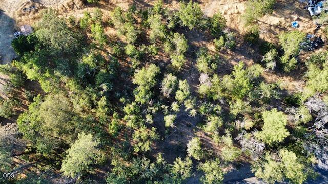 0 Or-238 Jacksonville, OR 97530 - Photo 18 of 20