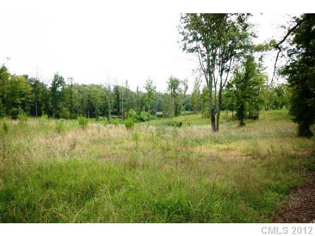 Lot 4 Akinbac Rd Lake Lake Wylie, SC 29710 - Photo 1 of 10