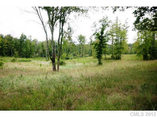 Lot 4 Akinbac Rd Lake Lake Wylie, SC 29710 - Photo 2 of 10 a view of outdoor space with green field