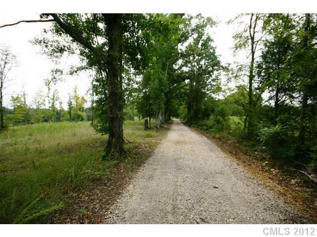 Lot 4 Akinbac Rd Lake Lake Wylie, SC 29710 - Photo 5 of 10 a view of a forest with trees in the background