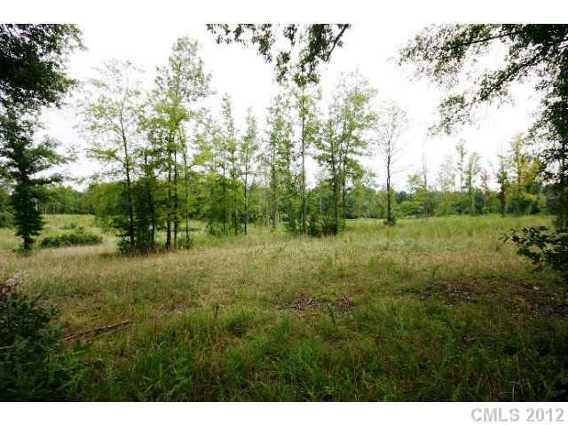 Lot 4 Akinbac Rd Lake Lake Wylie, SC 29710 - Photo 6 of 10 a view of a lush green forest