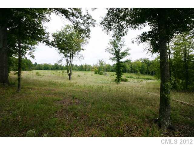 Lot 4 Akinbac Rd Lake Lake Wylie, SC 29710 - Photo 7 of 10 a view of a green field