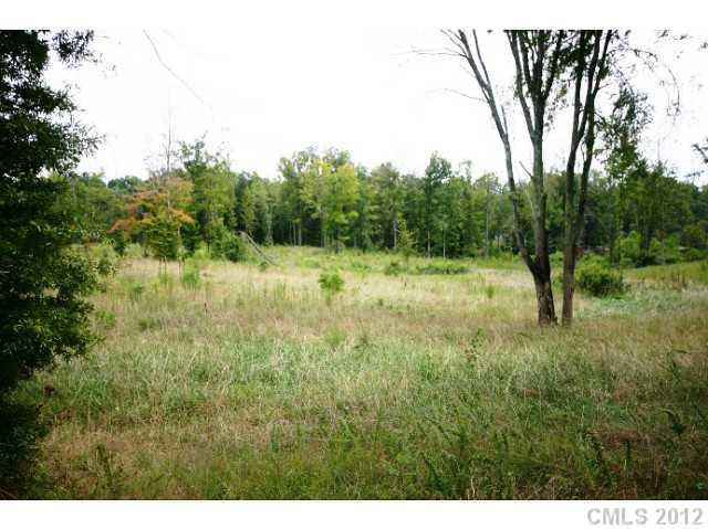 Lot 4 Akinbac Rd Lake Lake Wylie, SC 29710 - Photo 8 of 10 a view of outdoor space and yard