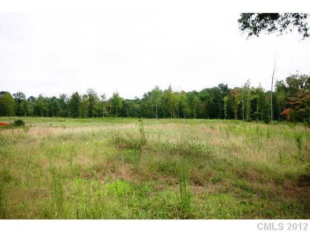 Lot 4 Akinbac Rd Lake Lake Wylie, SC 29710 - Photo 9 of 10 a view of a field with a tree