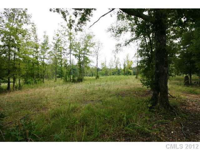 Lot 4 Akinbac Rd Lake Lake Wylie, SC 29710 - Photo 10 of 10 a view of a lush green forest