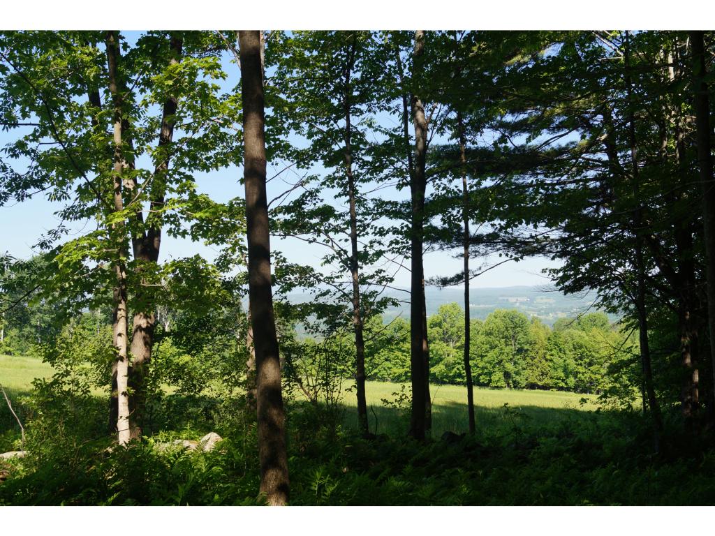 915 East Hill Road Plainfield, VT 05667 - Photo 2 of 8