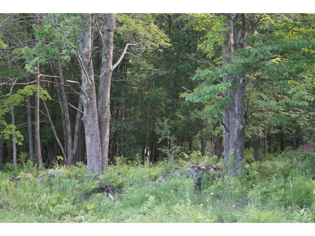 915 East Hill Road Plainfield, VT 05667 - Photo 6 of 8