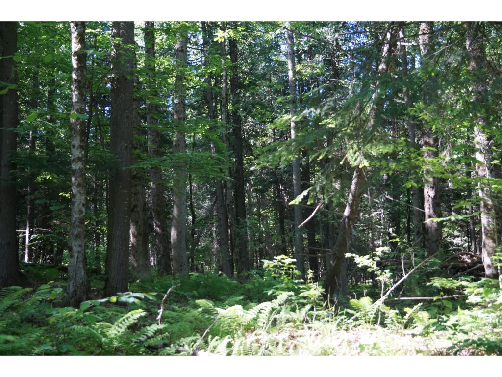915 East Hill Road Plainfield, VT 05667 - Photo 7 of 8