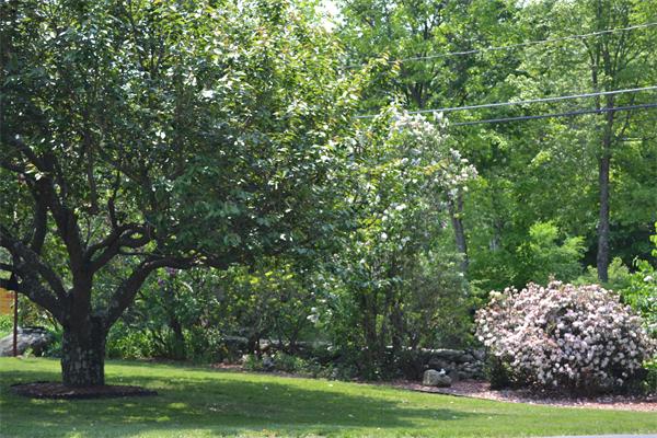 87 Harvard Road Littleton, MA 01460 - Photo 15 of 18 Gallery Image 15