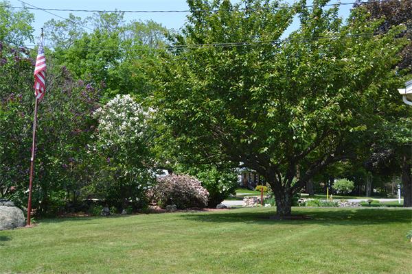 87 Harvard Road Littleton, MA 01460 - Photo 17 of 18 Gallery Image 17