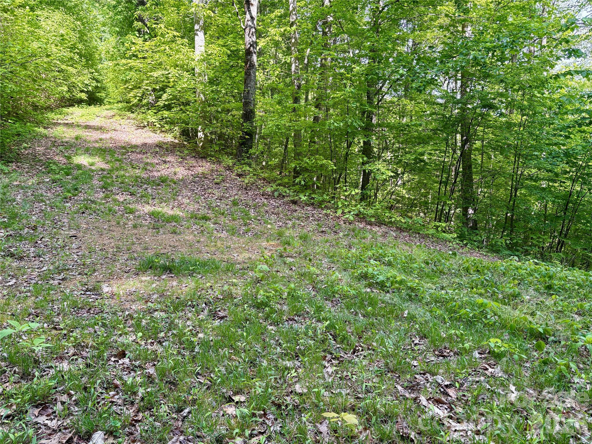 0 Carpenter Road Bryson City, NC 28713 - Photo 22 of 30 Gallery Image 22