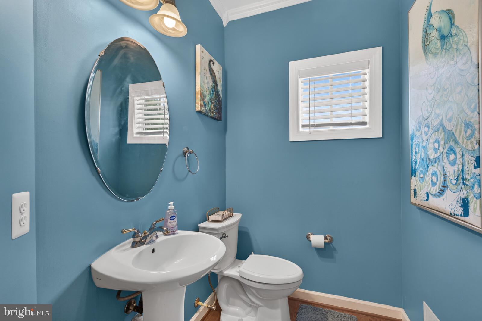9451 Brink Road Gaithersburg, MD 20882 - Photo 26 of 57 Main level powder room