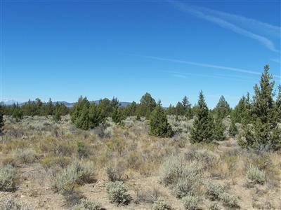 0 Southeast Cree Road Prineville, OR 97754 - Photo 5 of 6 Additional Photo