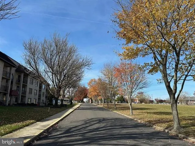 a view of a yard with plants and trees