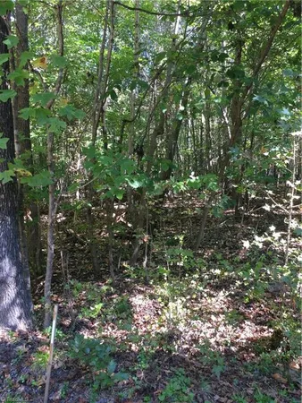 $1,750,000 | 000 Terrell Street, Mebane, NC 27302