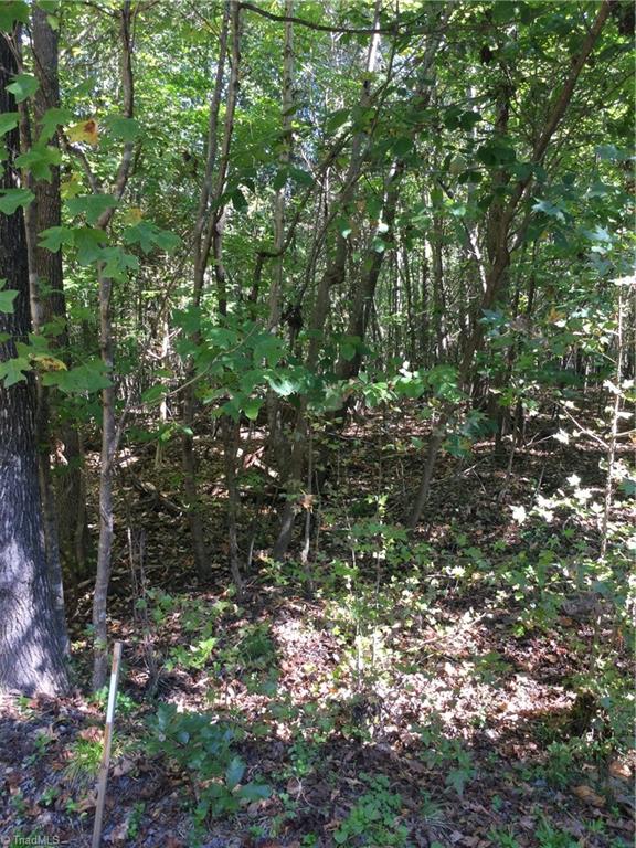 000 Terrell Street Mebane, NC 27302 - Photo 2 of 7