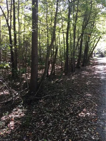 $1,750,000 | 000 Terrell Street, Mebane, NC 27302