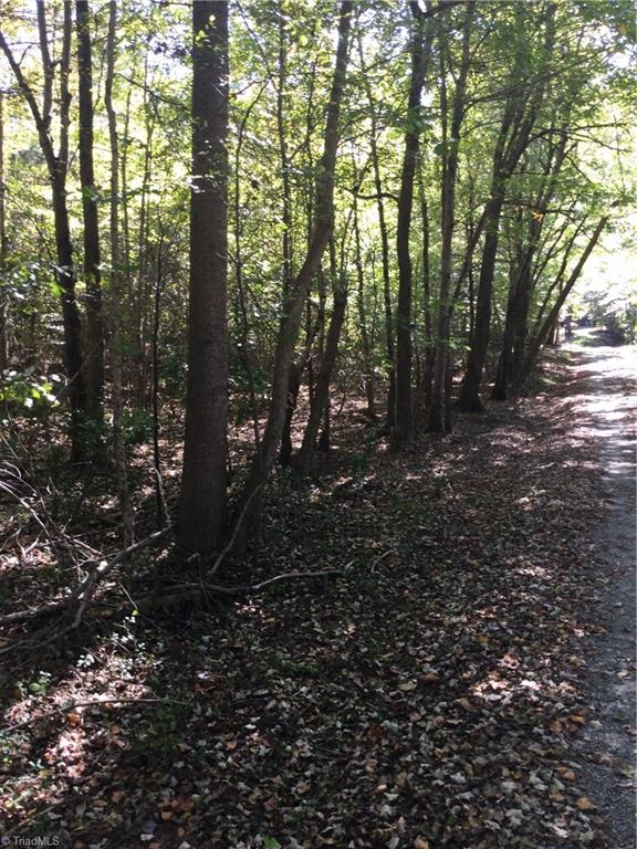 000 Terrell Street Mebane, NC 27302 - Photo 3 of 7