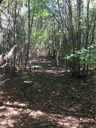 $1,750,000 | 000 Terrell Street, Mebane, NC 27302