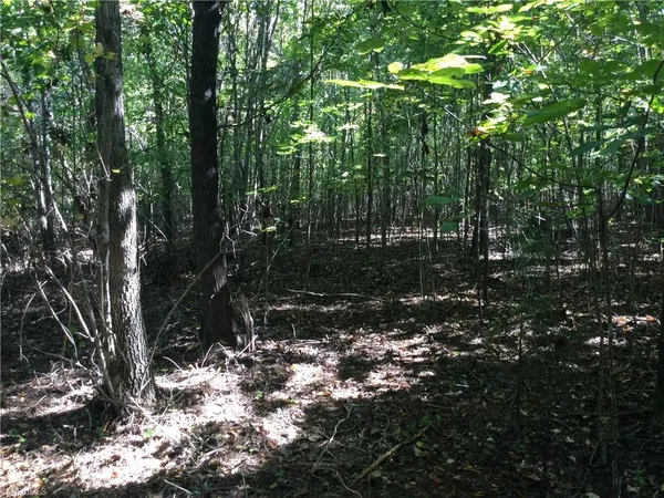 $1,750,000 | 000 Terrell Street, Mebane, NC 27302