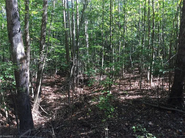 $1,750,000 | 000 Terrell Street, Mebane, NC 27302