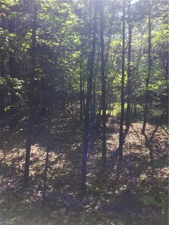 $1,750,000 | 000 Terrell Street, Mebane, NC 27302