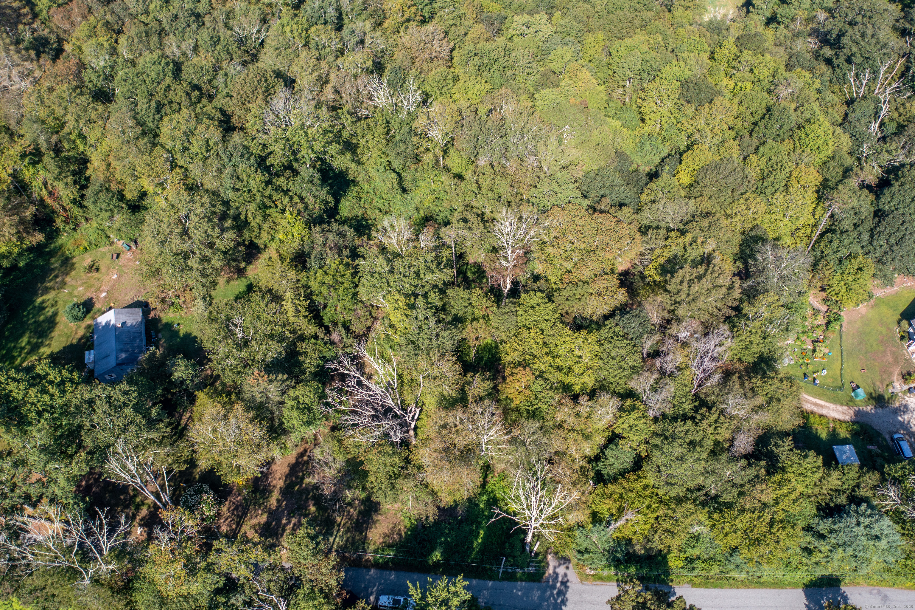 Bennett Pond Road Canterbury, CT 06331 - Photo 4 of 16 a view of a tree with a tree in the background